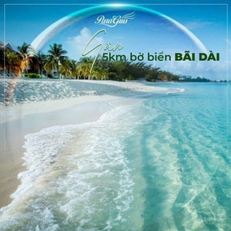 Giỏ hàng độc quyền KN Paragrus - KN Paradise - Viên kim cương sáng chói
