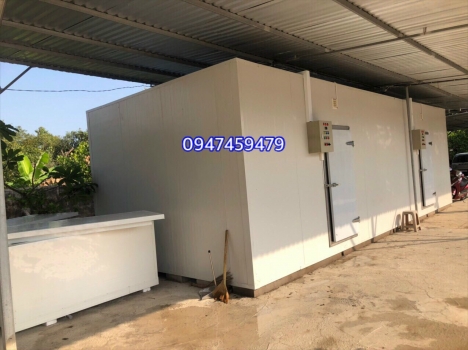 Lắp đặt kho lạnh bảo quản bơ giá tốt