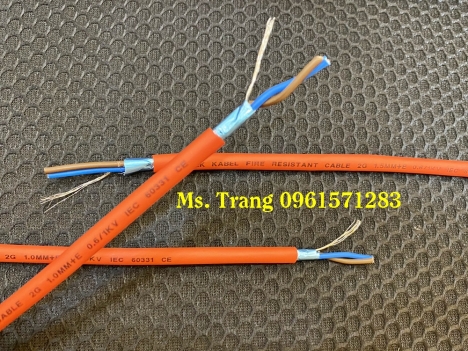 Dây cáp chống cháy 2x1.5 tiêu chuẩn IEC 60331