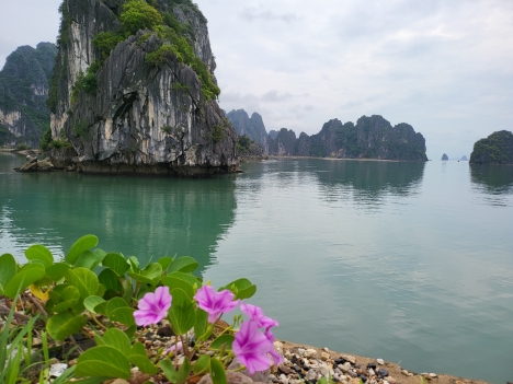 BÁN ĐẤT TĐC HẠ LONG, VÂN ĐỒN. VỊ TRÍ ĐẮC ĐỊA GIÁ RẺ NHẤT KHU VỰC . ĐẦU TƯ SINH LỜI CỰC TỐT