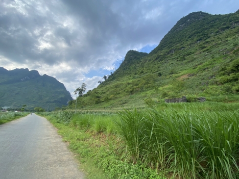 BÁN ĐẤT QUẢN BẠ-HÀ GIANG GIÁ RẺ, MẶT ĐƯỜNG TRỤC CHÍNH THÍCH HỢP KHAI THÁC DU LỊCH NGHỈ DƯỠNG, VIEW