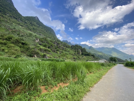 BÁN ĐẤT QUẢN BẠ-HÀ GIANG GIÁ RẺ, MẶT ĐƯỜNG TRỤC CHÍNH THÍCH HỢP KHAI THÁC DU LỊCH NGHỈ DƯỠNG, VIEW