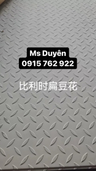 Tấm gân đúc 304/316