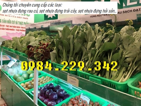 Sọt nhựa cho siêu thị, sọt cho cửa hàng, sọt đựng thực phẩm