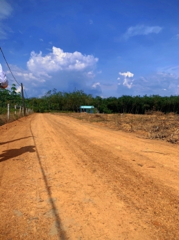 CHÍNH CHỦ BÁN ĐẤT SÀO BÌNH PHƯỚC
