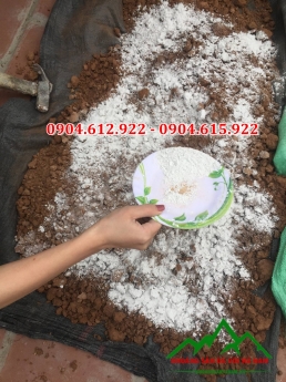 Địa chỉ bán vôi bột cải tạo đất tại hà nội