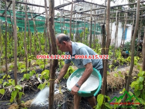 Địa chỉ bán vôi bột cải tạo đất tại hà nội