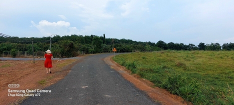 CHÍNH CHỦ BÁN ĐẤT SÀO BÌNH PHƯỚC