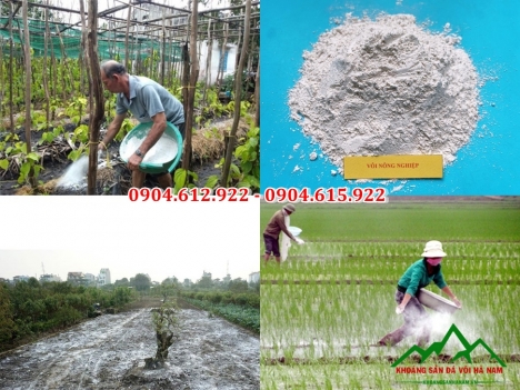 Địa chỉ bán vôi bột cải tạo đất tại hà nội