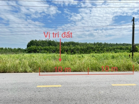 CHÍNH CHỦ BÁN ĐẤT SÀO BÌNH PHƯỚC