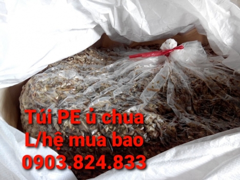 túi PE ủ cỏ - bao nilon lót trong dày lồng vào trong để ủ cỏ