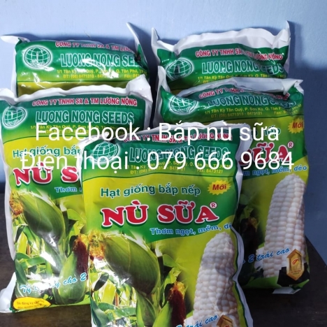 hạt giống ngô nếp nù sữa Lương Nông gói 1kg