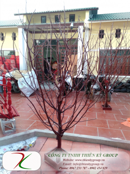 Trang trí cây thông Neol - Tiểu cảnh Noel