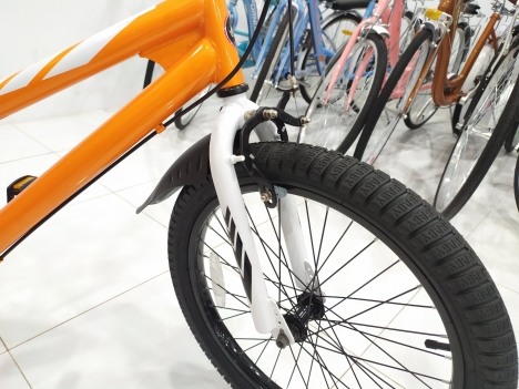 Xe Đạp Trẻ Em 20 Inch Royalbaby Freestyle