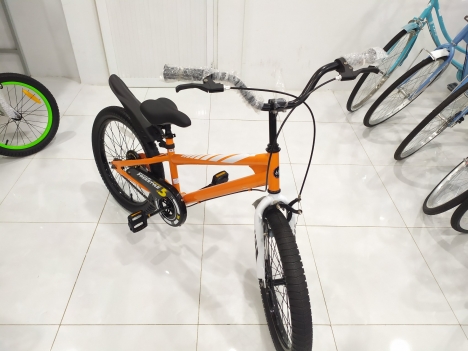 Xe Đạp Trẻ Em 20 Inch Royalbaby Freestyle