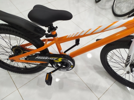 Xe Đạp Trẻ Em 20 Inch Royalbaby Freestyle