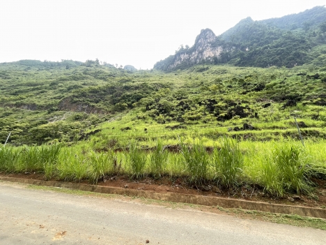 BÁN ĐẤT MẶT QUỐC LỘ 4C HÀ GIANG VIEW SÔNG CỰC ĐẸP GIÁ ĐẦU TƯ F0