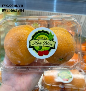 Mẫu hộp nhựa P500B đóng gói và bảo quản 500g trái cây hiệu quả