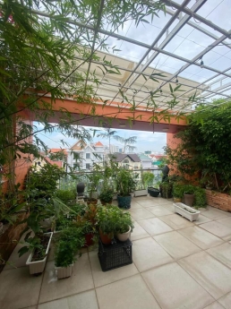 BIỆT THỰ! Cho thuê biệt thự sân vườn 17x20m Nguyễn Minh Hoàng P12, Tân Bình