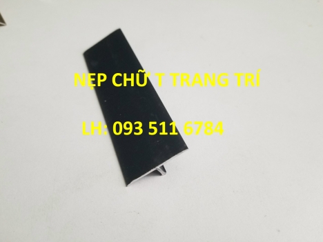 Nẹp T25 nhôm Inox trang trí