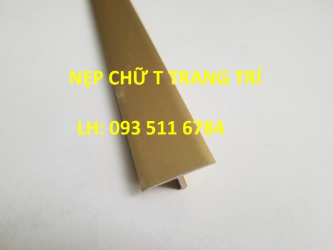 Nẹp T25 nhôm Inox trang trí