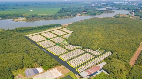 CẦN TIỀN KINH DOANH - BÁN GẤP ĐẤT SÀO ĐỒNG NAI