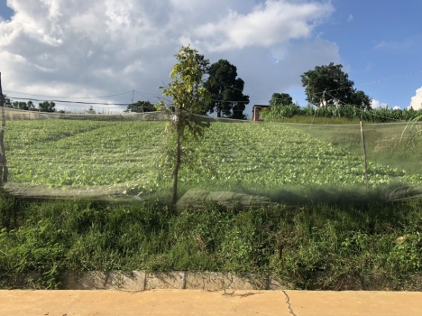 Bán đất hai mặt tiền(6,4 x 30)  trung tâm Ka đô - Đơn dương - Lâm đồng