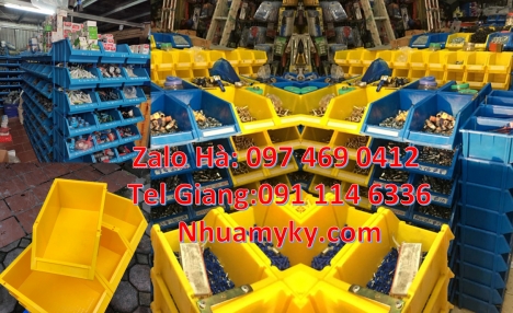Địa chỉ bán kệ nhựa, Sỉ lẻ khay đựng ốc vít, Kệ nhựa giá rẻ, kệ chính hãng, Kệ dụng cụ, khay phụ tùn