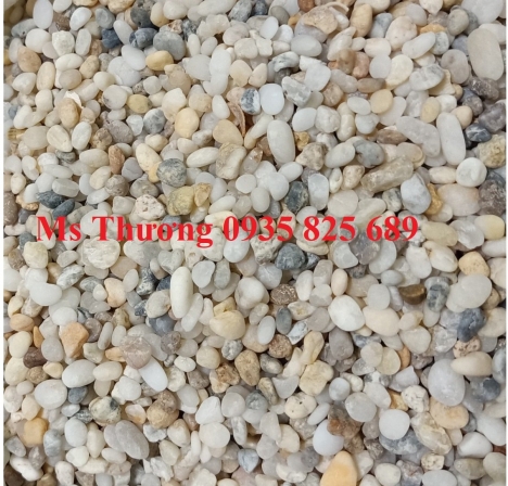 TÁC DỤNG CỦA SỎI BIỂN THỦY SINH