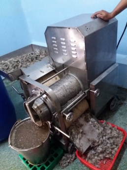 Máy ép cá, băng tải máy tách xương cá, máy ép cá biển, máy ép cá mối, cá thác lác