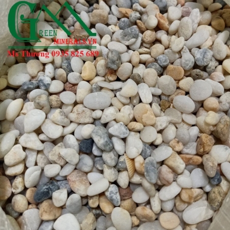 TÁC DỤNG CỦA SỎI BIỂN THỦY SINH