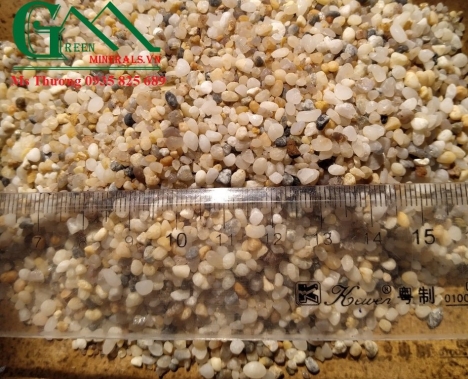 TÁC DỤNG CỦA SỎI BIỂN THỦY SINH