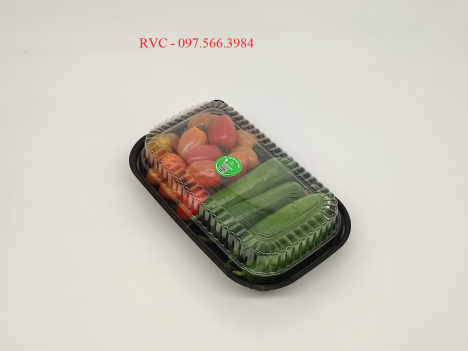 Gía bán hộp cơm nhựa đen ht17 1 ngăn