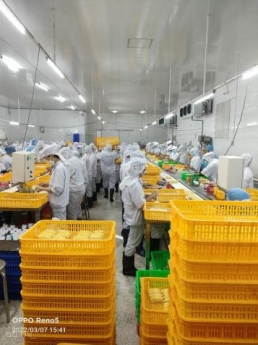 Bán hoặc cho thuê kho nhà xưởng đường Tỉnh Lộ 865, Mỹ Phước, Tân Phước, Tiền Giang, 3100m2, 65 tr