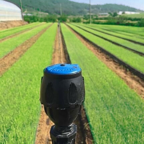 Giá hệ thống tưới phun mưa, tại hà nội chi phí lắp đặt hệ thống tưới phun mưa,
