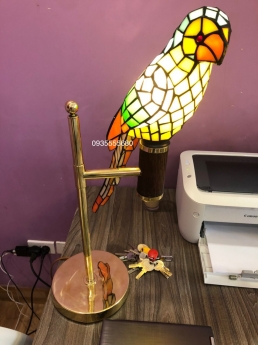 Giao lưu vài bộ đèn vẹt các màu