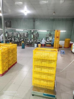 Bán hoặc cho thuê kho nhà xưởng đường Tỉnh Lộ 865, Mỹ Phước, Tân Phước, Tiền Giang, 3100m2, 65 tr