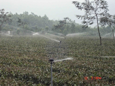 Vòi phun mưa LF2400 RainBird Hoa Kỳ,thông số kỹ thuật vòi lf2400,vòi phun tưới chè