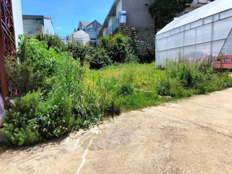 CẦN BÁN ĐẤT HÒN BỒ THÁI PHIÊN PHƯỜNG 12 ĐÀ LẠT