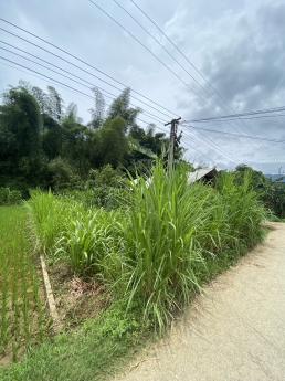 Hà Giang miền đất hứa