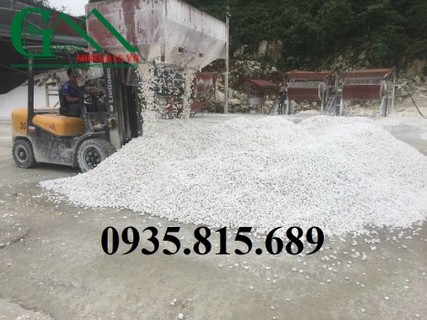 Sỏi trắng muối trang trí chậu cây cảnh, sân vườn