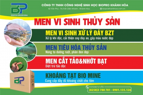 Men vi sinh nguyên liệu Biopo Khánh Hòa