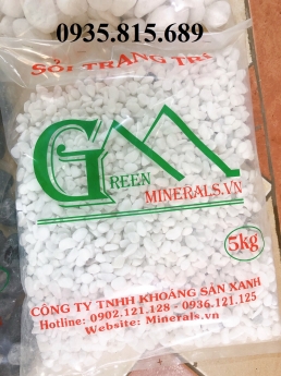 Sỏi trắng muối trang trí chậu cây cảnh, sân vườn