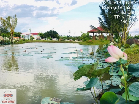 Dự án 1/500 The Venice City TP Vị Thanh,Hậu Giang đã có sổ riêng từng nền từ 14,5tr/m2