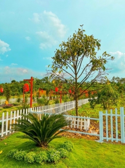 Bán đất Tân Lạc, Bảo Lâm, Lâm Đồng. Diện tích 181m2, 100m2 TC, giá 1 tỷ 050 triệu