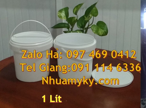 Giá bán Xô nhựa 3.8 lit, thùng nhựa 5 lít, vỏ thùng sơn giá rẻ, thùng sơn 10 lít, thùng nhựa 19 l