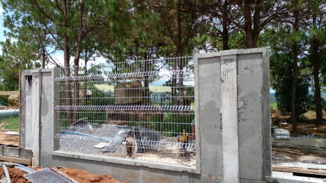 Lưới thép hàng rào chấn sóng - bẻ đầu
