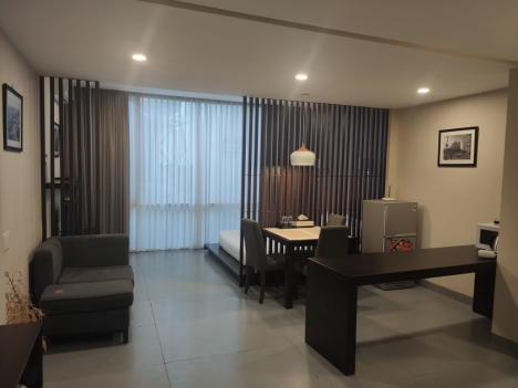 Cho thuê biệt thự hiện đại 9x25m sân vườn Trần Qúy Khoách, Quận 1