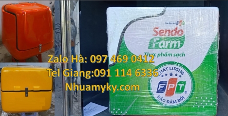 Thùng ship hàng giữ nhiệt, Thùng giao bưu phẩm, Thùng giao hàng hỏa tốc, Thùng chở hàng giữ nhiệt đa