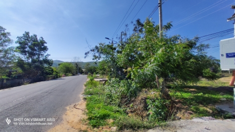 Bán 2500m2 Đất mặt đường Trần Bình Trọng, Thiện Nghiệp, TP Phan Thiết, Bình Thuận (Đã có sẵn nhà)